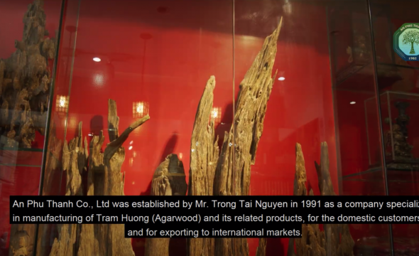 Giới thiệu Công ty TNHH An Phú Thành - Nhãn hiệu trầm hương An Tâm tại Việt Nam